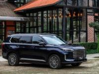 車主故事丨電混旗艦 攬月C-DM兼顧家庭商務(wù)雙優(yōu)選